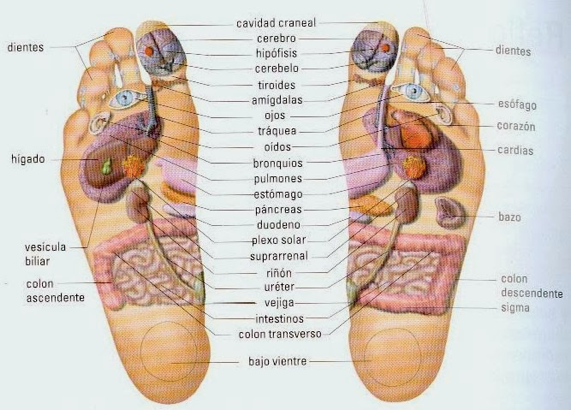 reflexologia en tijuana salud total