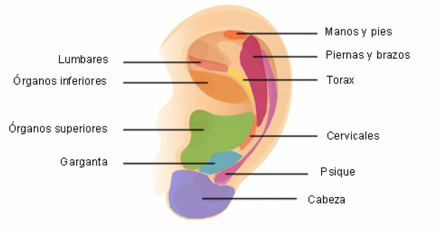reflexologia salud total tijuana ayurveda